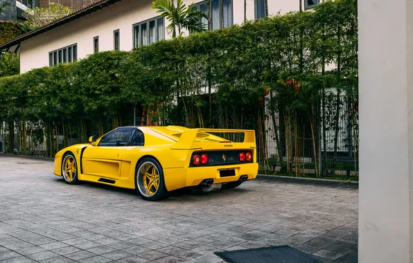 Дизайн, Ferrari, Pininfarina, 1994, единственный экземпляр, Trasversale Spider, Collecting Cars, Koenig F48 ts