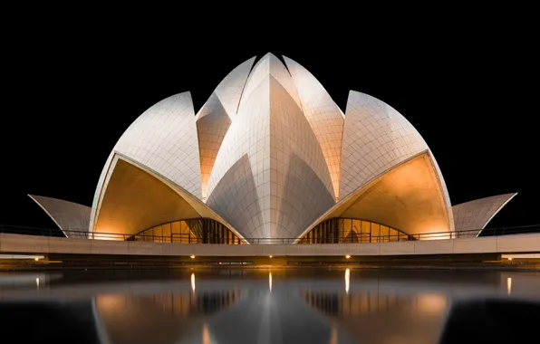 Water, lotus, temple