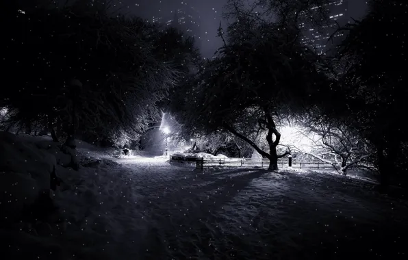 Снег, manhattan, central park