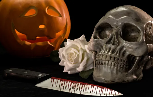 Кровь, роза, череп, нож, тыква, Хеллоуин