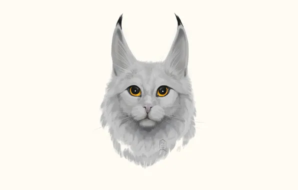 Кошка, глаза, взгляд, шерсть
