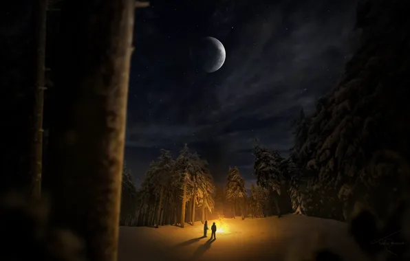 Картинка зима, лес, снег, деревья, ночь, люди, поляна, костер