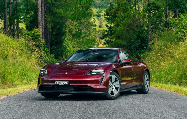 Зелень, деревья, Porsche, Порше, 2022, Taycan, Porsche Taycan