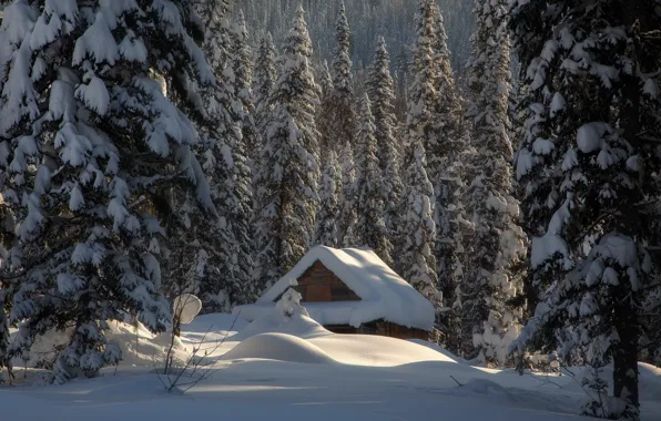 Картинка зима, лес, снег, избушка, ели, сугробы, хижина, Россия