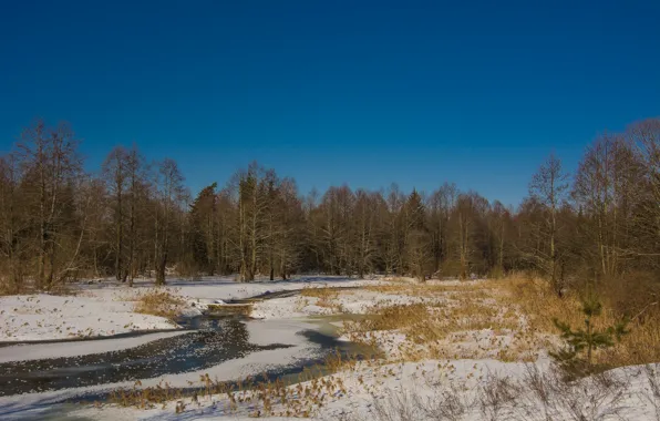 Небо, снег, Весна, солнечный день