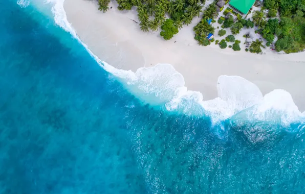 Ocean, maldives, like