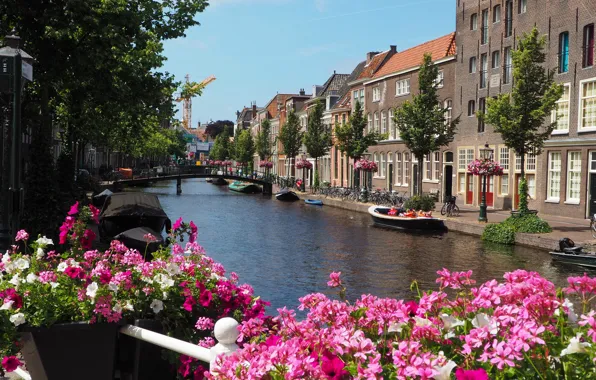 Цветы, река, Дома, лодки, Улица, Здания, Цветочки, Нидерланды