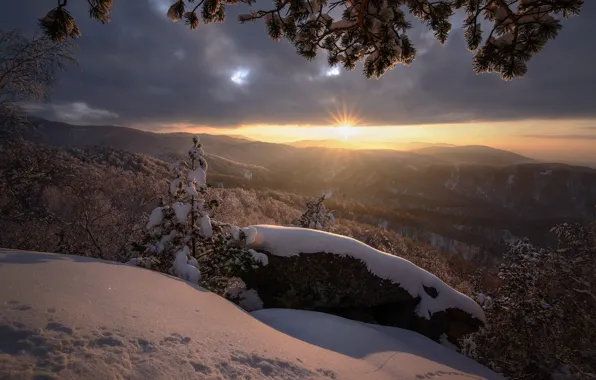 Картинка зима, солнце, лучи, снег, пейзаж, закат, горы, ветки