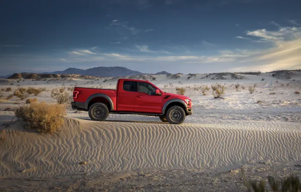 Ford, Песок, Пустыня, Raptor, F-150, Дюна, 2019, Ford F-150 Raptor