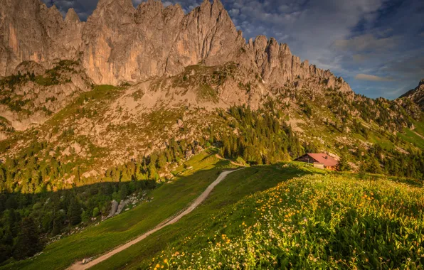Картинка зелень, трава, солнце, облака, деревья, цветы, горы, камни