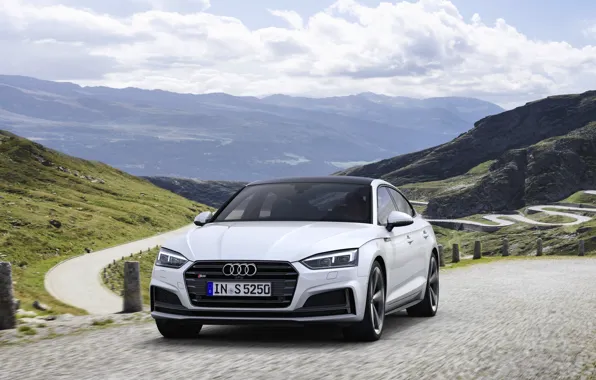 Картинка дорога, Audi, Audi A5, 2019, S5 Sportback