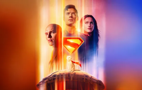 Фон, собака, логотип, Супермен, постер, комикс, Superman, Lois Lane