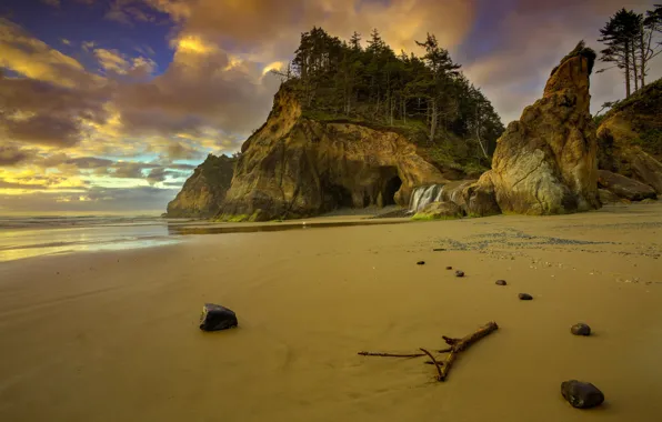 Пляж, деревья, берег, Орегон, США, скалв