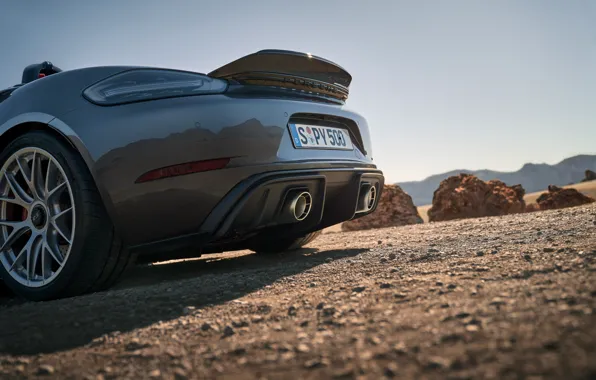 Картинка Porsche, close-up, rear view, 718, Porsche 718 Spyder RS