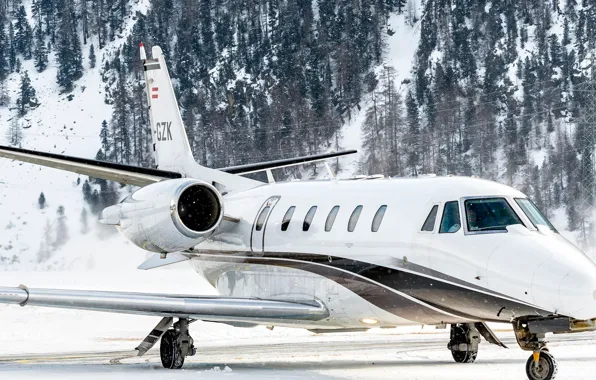 Самолёт, snow, Airplane, jet, Trees, rich, mount