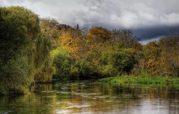 Природа, река, фото, Англия, Hampshire, Itchen