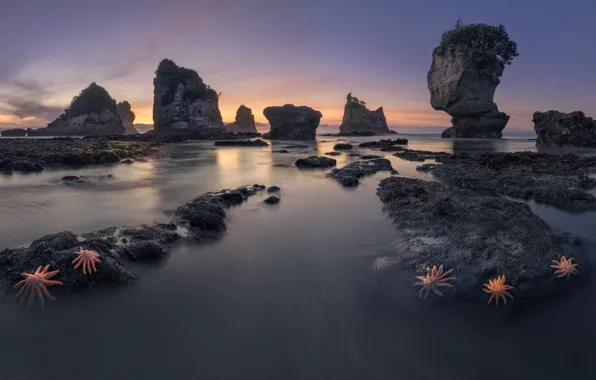 Пейзаж, природа, камни, океан, скалы, Новая Зеландия, морские звёзды, Motukiekie Beach