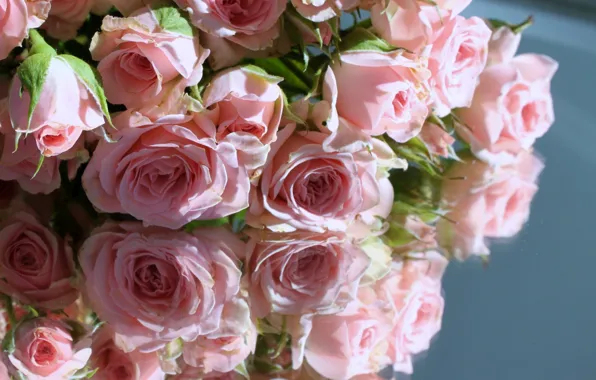 Картинка отражение, розы, розовые