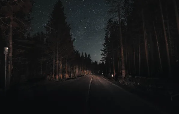 Дорога, лес, небо, ночь, темнота, звёзды