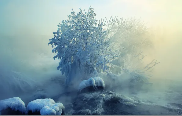 Картинка зима, снег, пейзаж, природа, туман