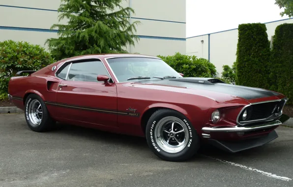 Mustang, мустанг, 1969, ford, мускул кар, форд, muscle car, mach 1