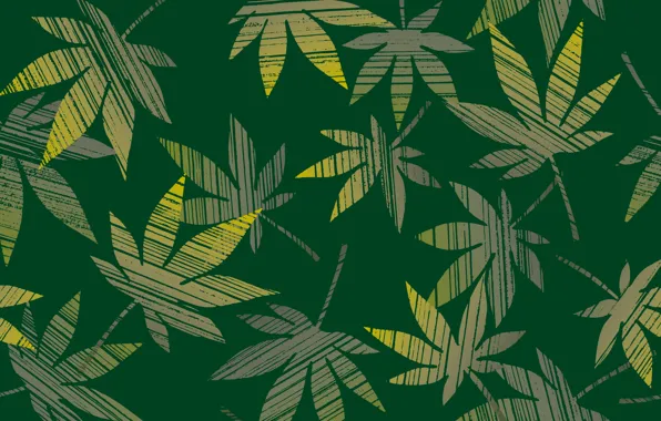 Картинка листья, зеленый, конопля