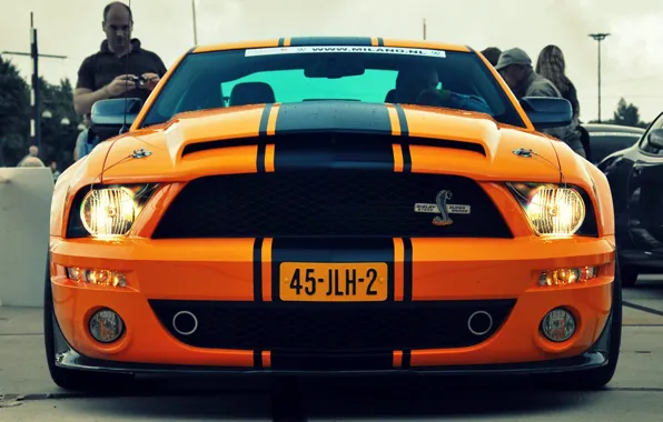 Mustang, Cobra, Sport
