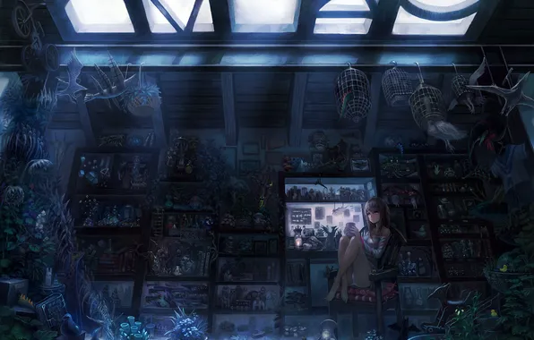 Картинка девушка, фентези, комната, магия, аниме, колдунья, sakai yoshikuni