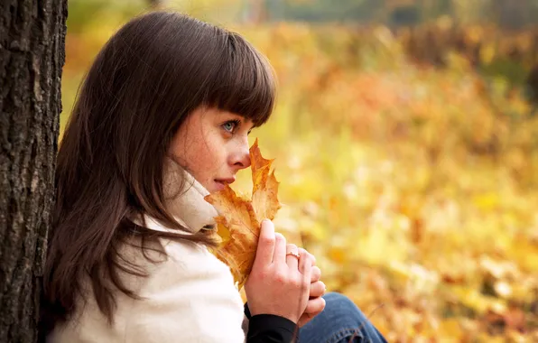 Осень, взгляд, листья, девушка, симпатичная, кленовые, Autumn female