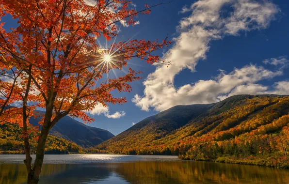 Осень, облака, горы, озеро, дерево, клён, Нью-Гэмпшир, New Hampshire