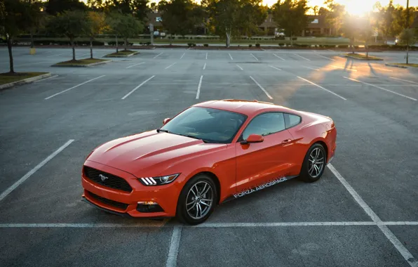 Картинка Ford, mustang, red, parking, 2015