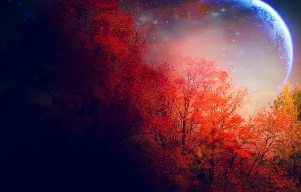Картинка осень, деревья, луна, звёзды, красные