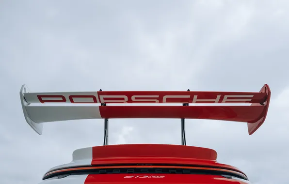 Porsche, суперкар, supercar, Canada, единственный экземпляр, 2024, the only instance, Porsche 911 GT3 RS "PECTO"