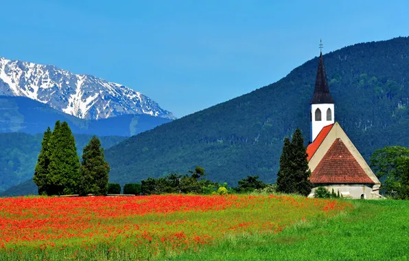 Деревья, цветы, горы, маки, Австрия, Альпы, луг, церковь