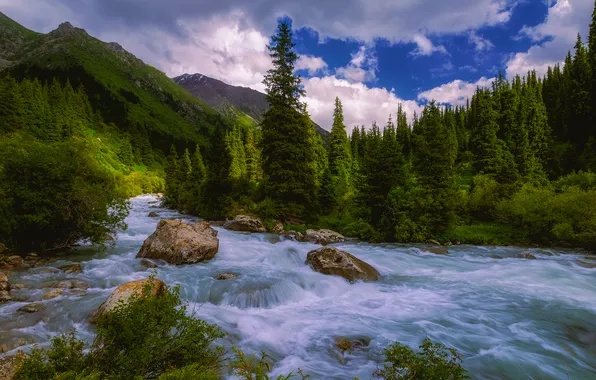 Лес, горы, река, камни, поток, Казахстан, Река Тургень, Элина Магалимова