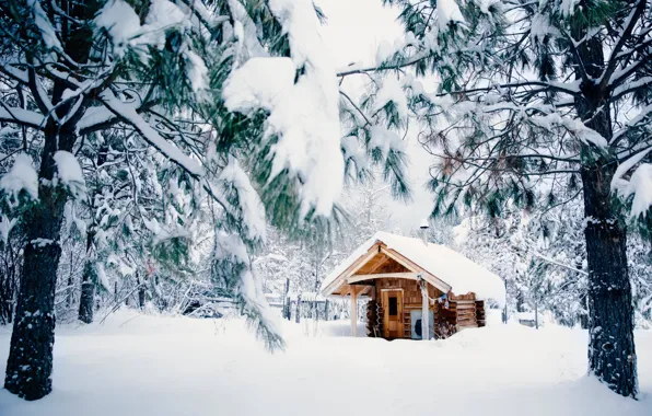 Природа, Зима, Снег, Домик, House, Nature, Winter, Snow
