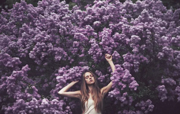Волосы, сон, hair, purple flowers, sleep, фиолетовые цветы, закрытые глаза, closed eyes