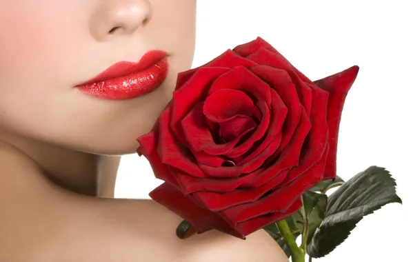 Картинка цветок, девушка, цветы, розы, губы, красная