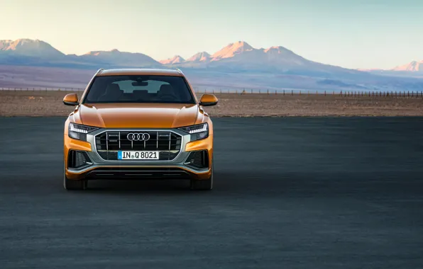 Quattro, 2018, кроссовер, S-Line, 50 TDI, Audi Q8