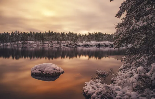 Зима, лес, вода, снег, деревья, отражение, Финляндия