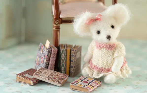 Игрушка, книги, мышка