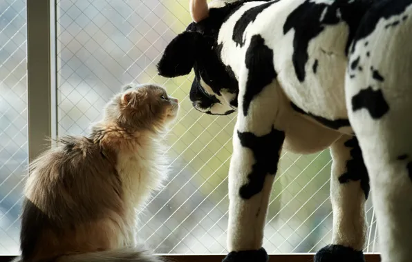 Кошка, кот, игрушка, корова, окно