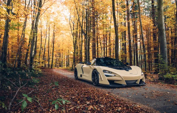 Картинка осень, лес, McLaren, суперкар, 2018, Novitec, N-Largo, 720S
