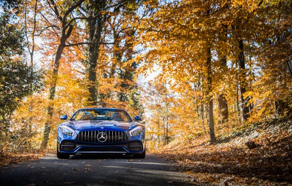 Roadster, Mercedes-Benz, вид спереди, AMG, 2018, GT C