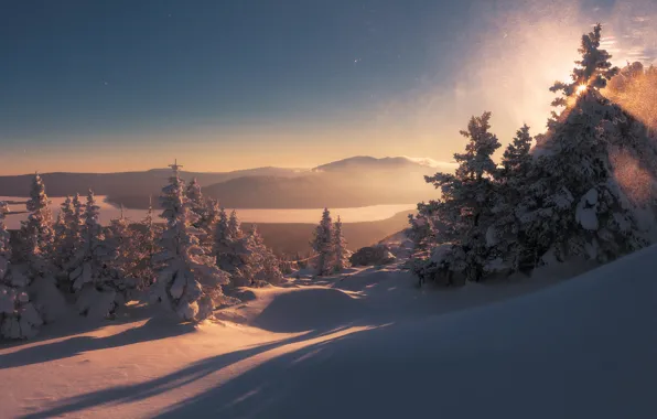Зима, снег, деревья, пейзаж, горы, природа, утро, тени
