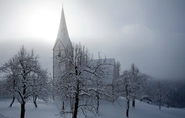 Картинка зима, деревья, туман, храм