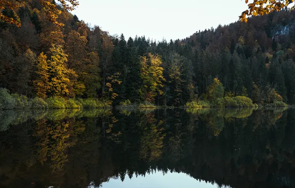 Лес, небо, вода, деревья, отражение, река
