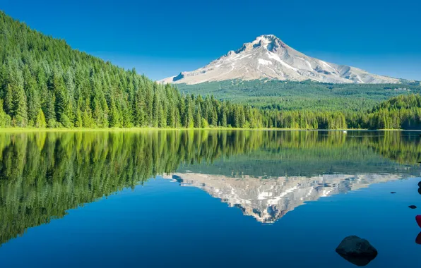 Лес, небо, деревья, горы, озеро, отражение
