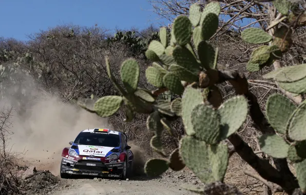Ford, Mexico, rally, wrc, fiesta, 2013, T.Neuville