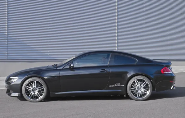 BMW, black, E56